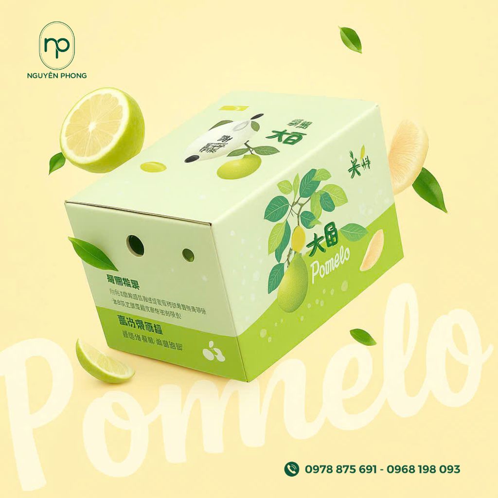 Mẫu thùng carton đựng bưởi
